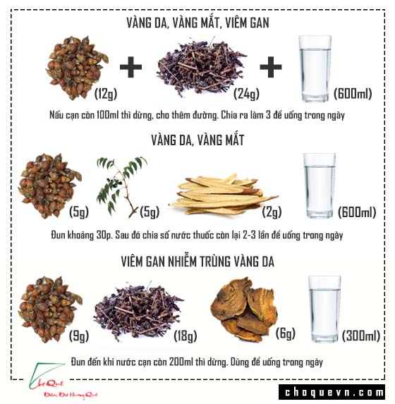 chữa bệnh gan nhờ bột dành dành